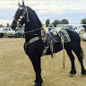 Meet your Posher, Jan